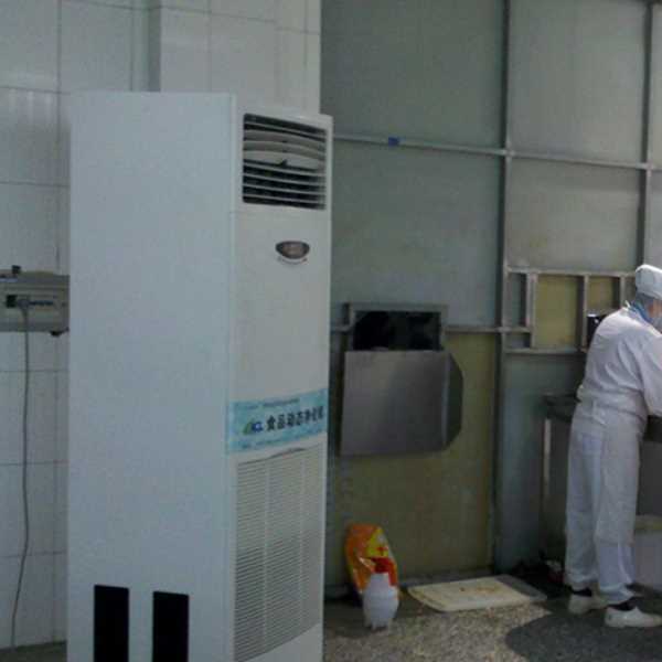 株洲食品正负离子空气杀菌器